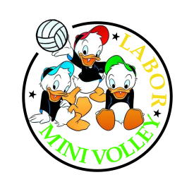 labor minivolley