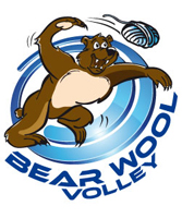 Bear Wool Volley 2012