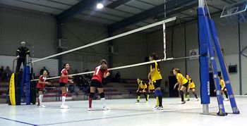U13 - Labor Volley